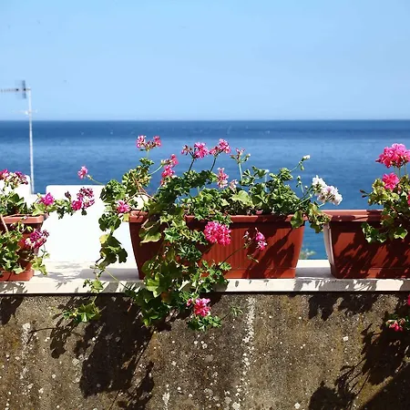 Il Fico Bed & Breakfast